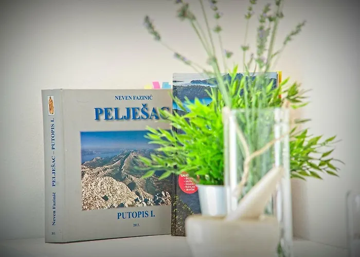 Oyster Paradise Blue 아파트 스톤